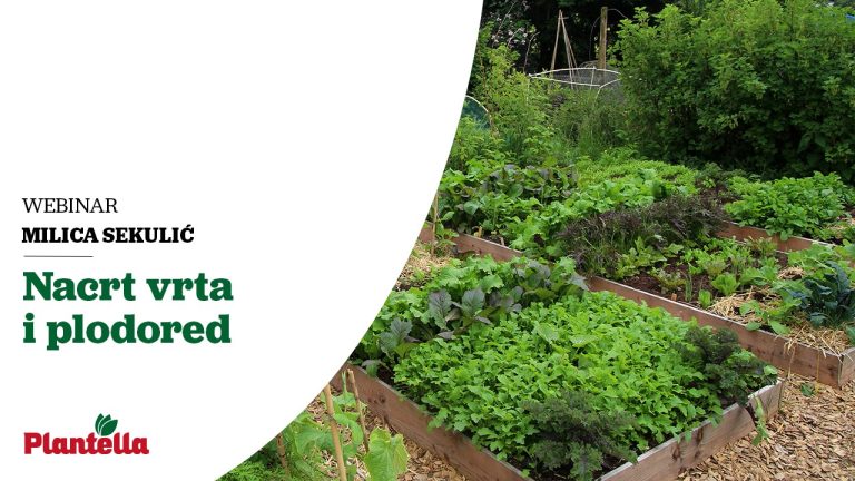 Plantella webinar: Kako napraviti plan i nacrt vrta za sadnju povrća?