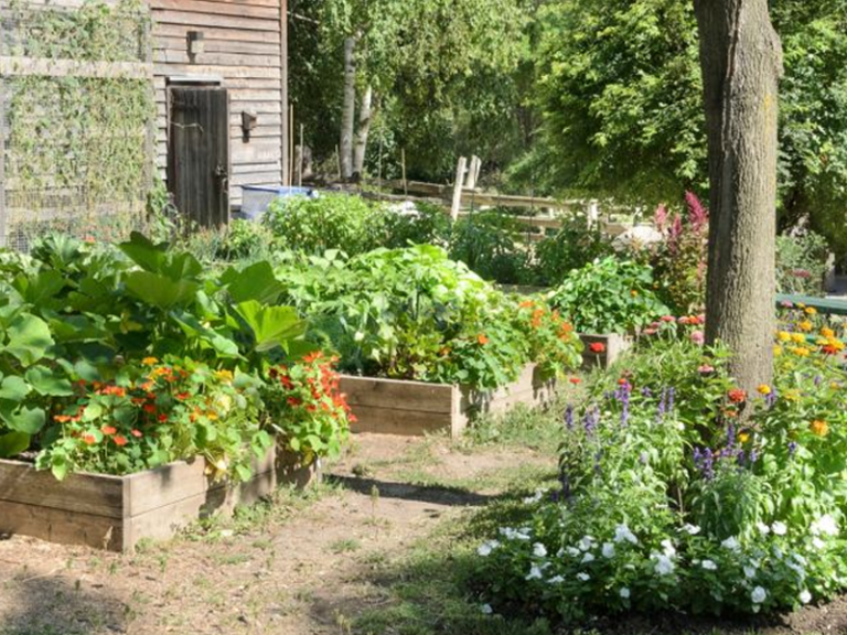 Oblici vrtova za sadnju povrća